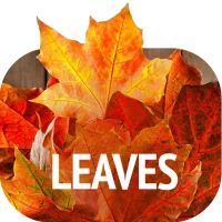 Lämnar bakgrundsbilder