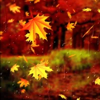 Beautiful Autumn Wallpaper